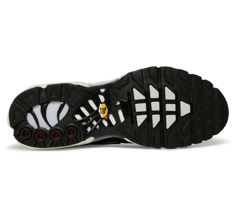 Men's Nike Air Max Plus TN (Anthracite/Teal)