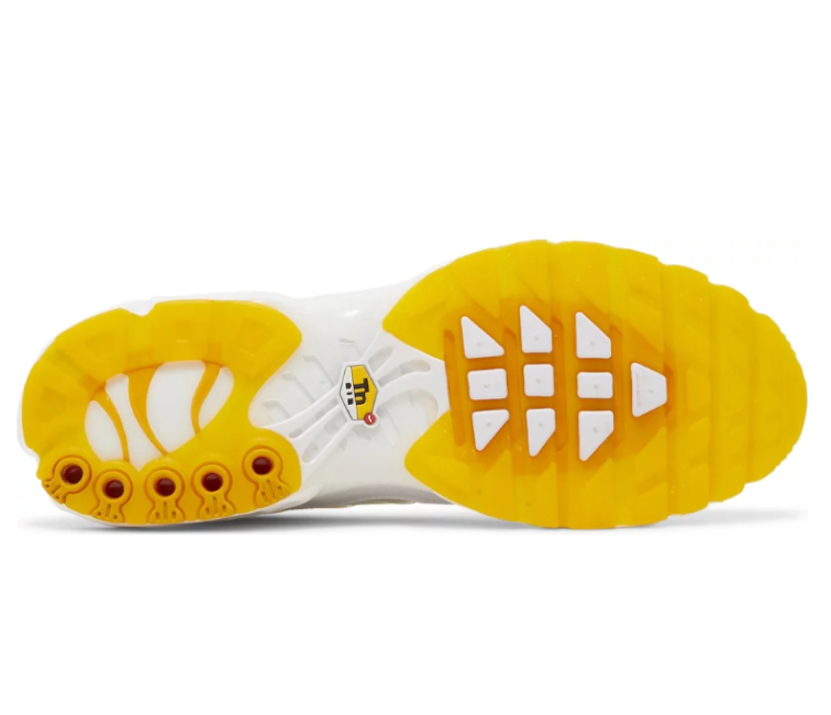 Men’s Nike Air Max Plus TN (Frank Rudy)