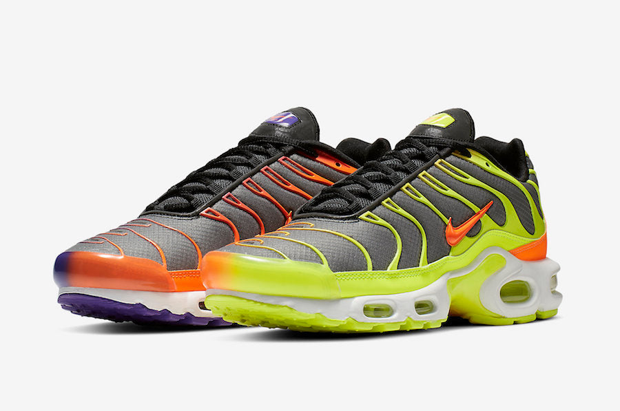 Men's Nike Air Max Plus TN Dark Colour Flip