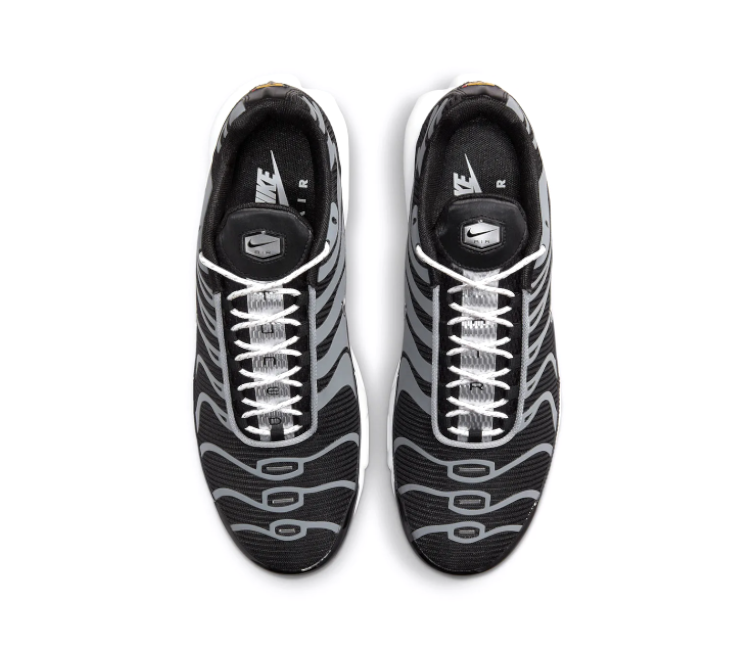 Men's Nike Air Max Plus TN (Black/Metallic Silver)