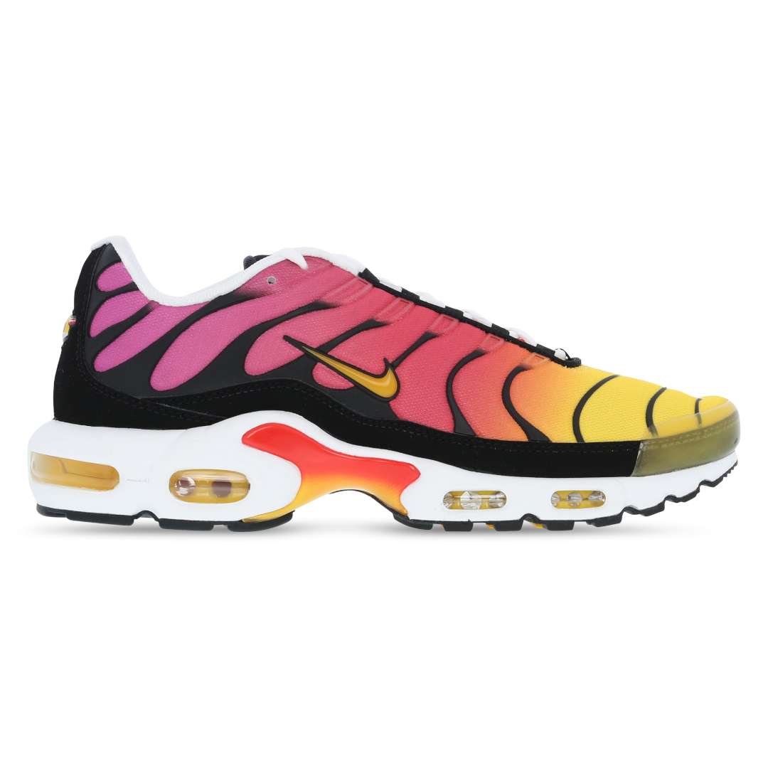 Mens Nike Air Max Plus TN Rainbow Retro