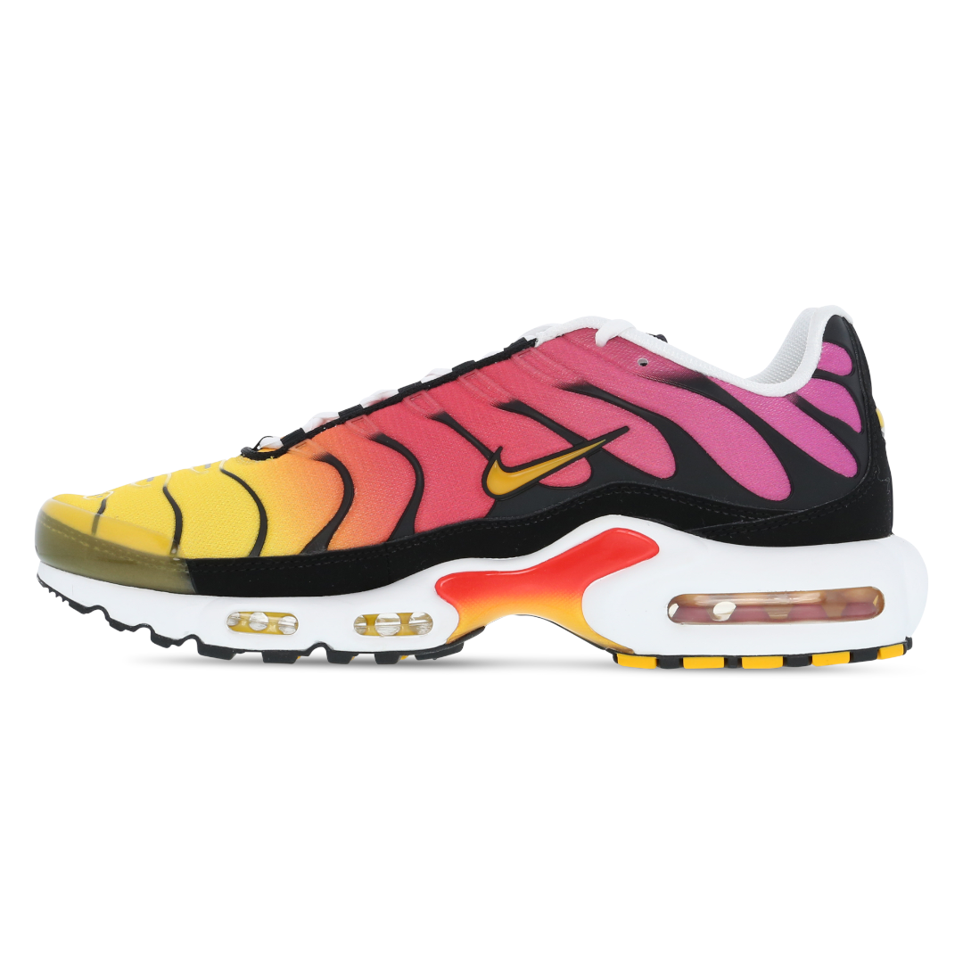 Mens Nike Air Max Plus TN Rainbow Retro
