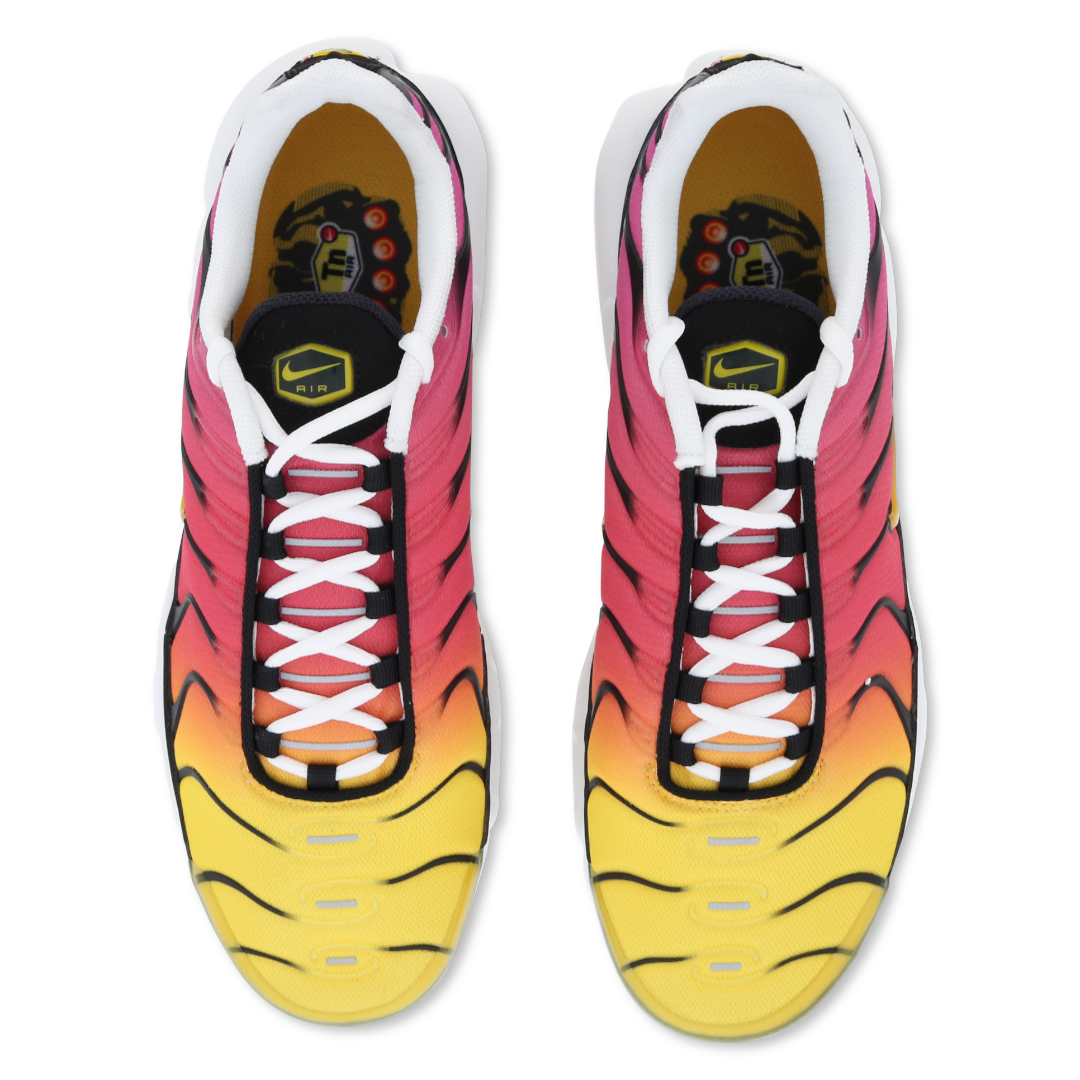 Mens Nike Air Max Plus TN Rainbow Retro