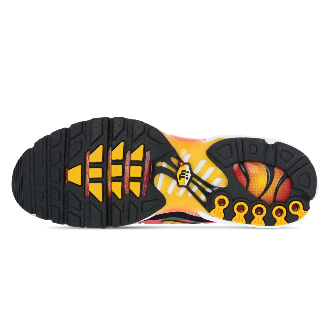 Mens Nike Air Max Plus TN Rainbow Retro