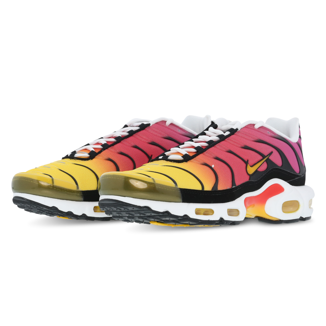 Mens Nike Air Max Plus TN Rainbow Retro