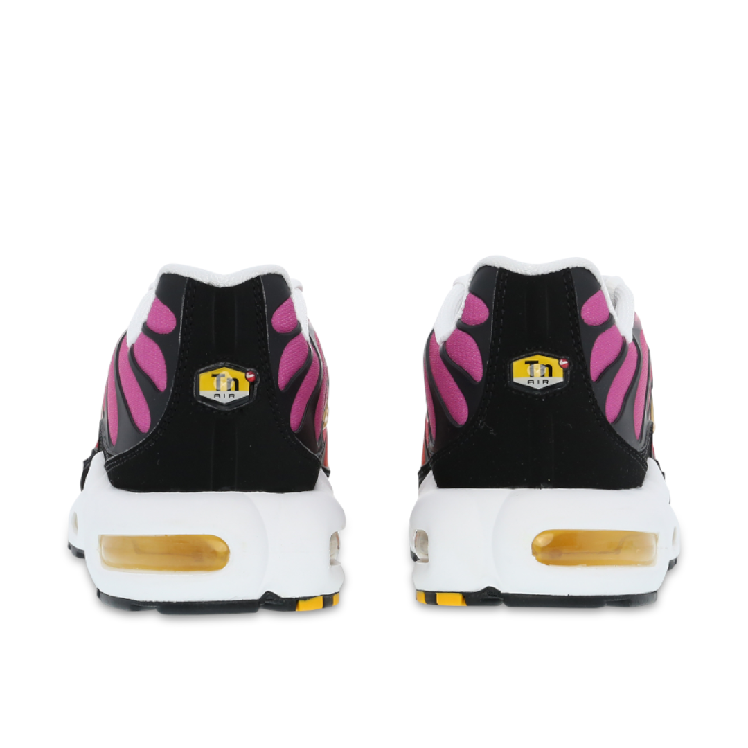 Mens Nike Air Max Plus TN Rainbow Retro