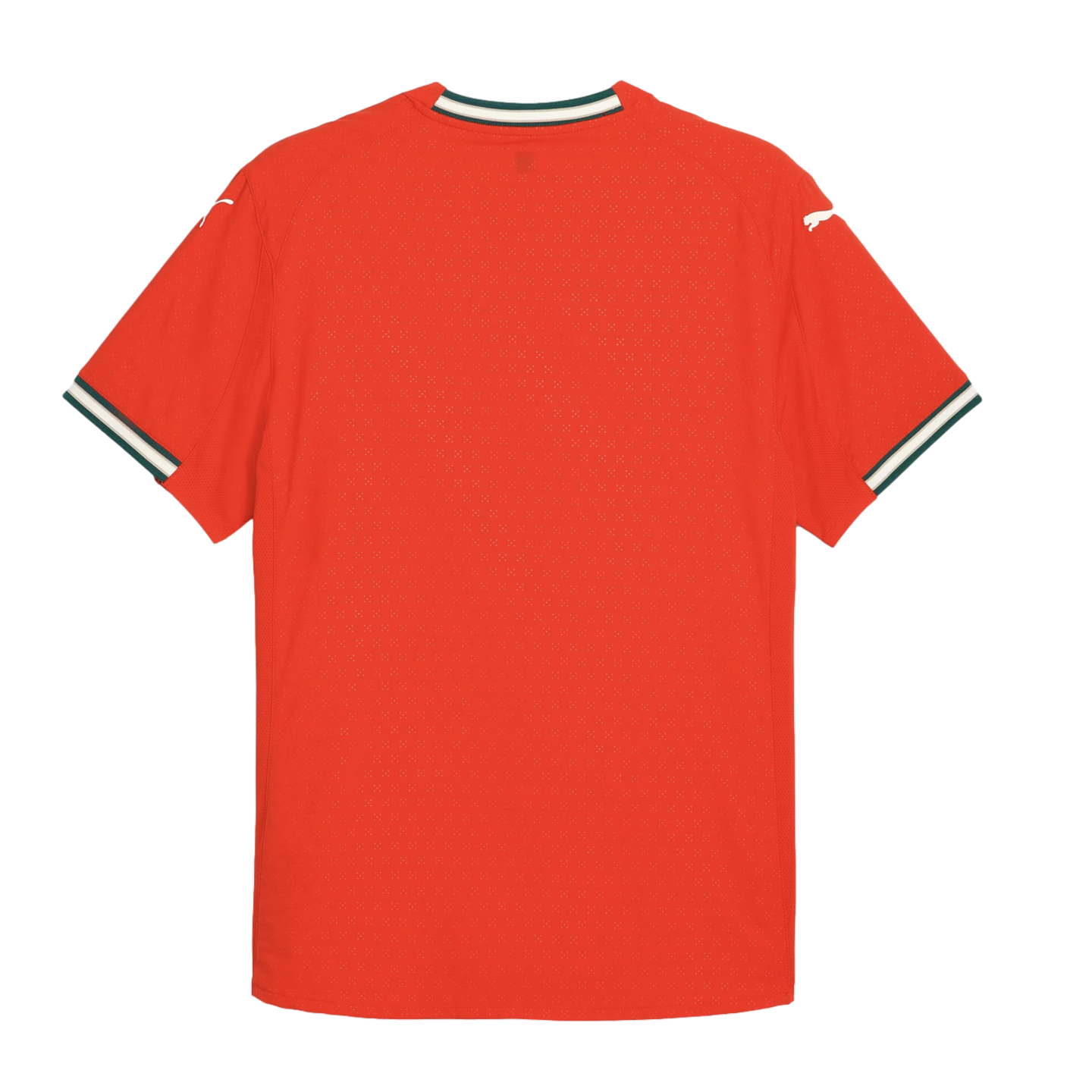 Puma Portugal 2025 Authentic Home Jersey 780766-01