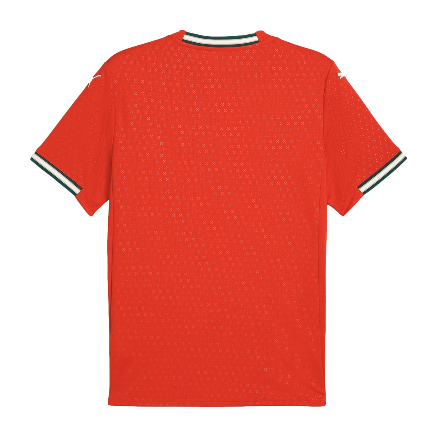 Puma Portugal 2025 Home Jersey 779190-01