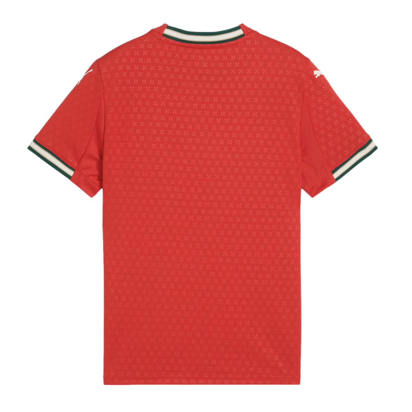 Puma Portugal 2025 Youth Home Jersey 779193-01