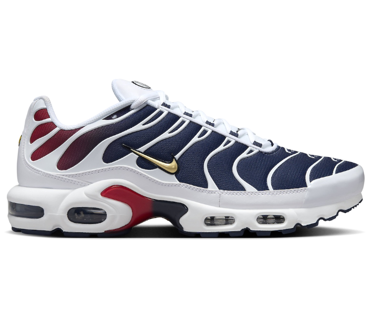 Men's Nike Air Max Plus TN (PSG)