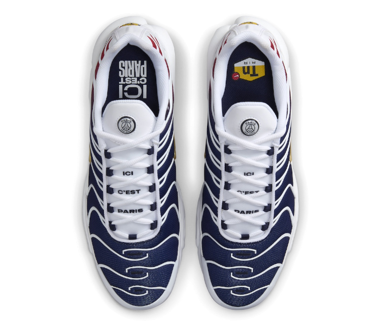 Men's Nike Air Max Plus TN (PSG)