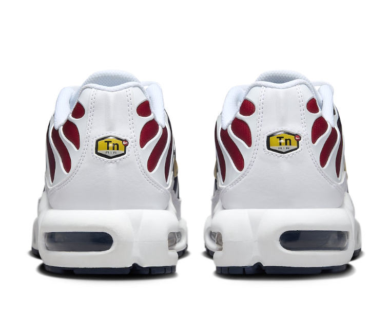 Men's Nike Air Max Plus TN (PSG)
