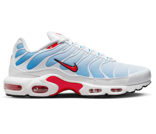 Men's Nike Air Max Plus TN (Tides)