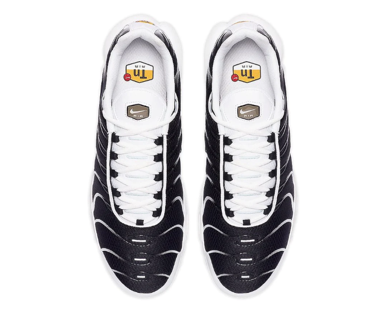 Men's Nike Air Max Plus TN (Killer Whale)