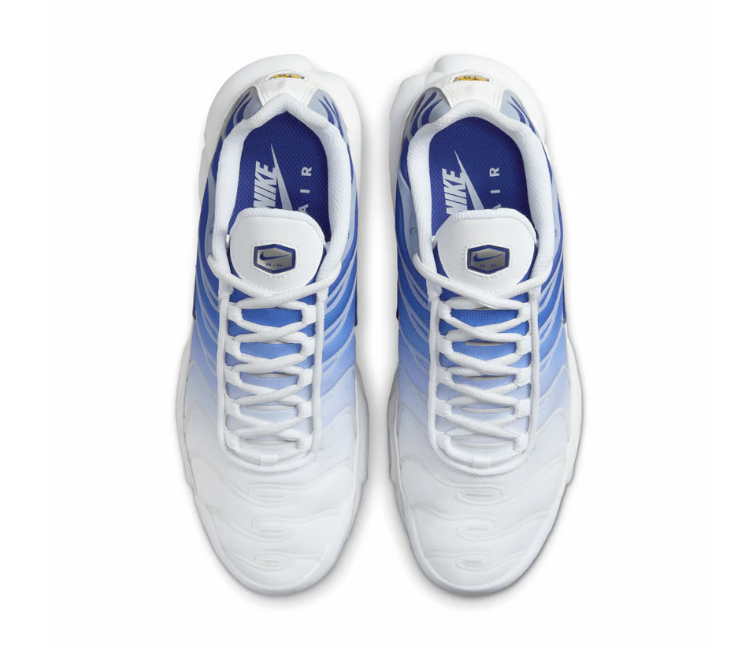 Women’s Nike Air Max Plus TN (Blue Fade)