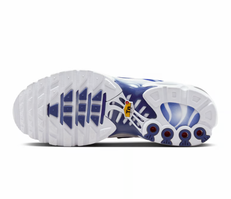 Women’s Nike Air Max Plus TN (Blue Fade)