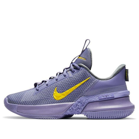 Nike LeBron Ambassador 13 'Lakers' CQ9329-500