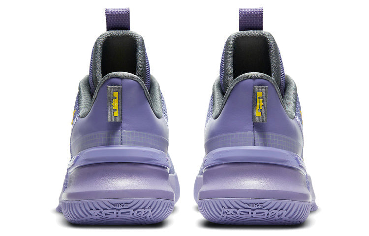 Nike LeBron Ambassador 13 'Lakers' CQ9329-500