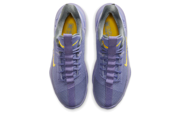 Nike LeBron Ambassador 13 'Lakers' CQ9329-500