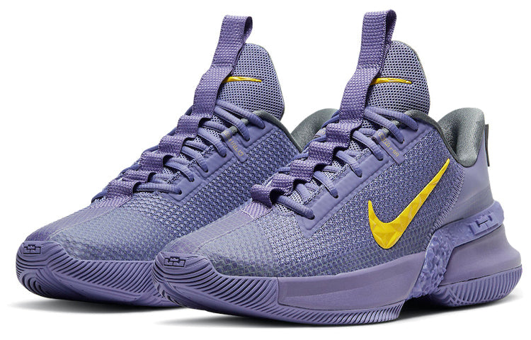 Nike LeBron Ambassador 13 'Lakers' CQ9329-500