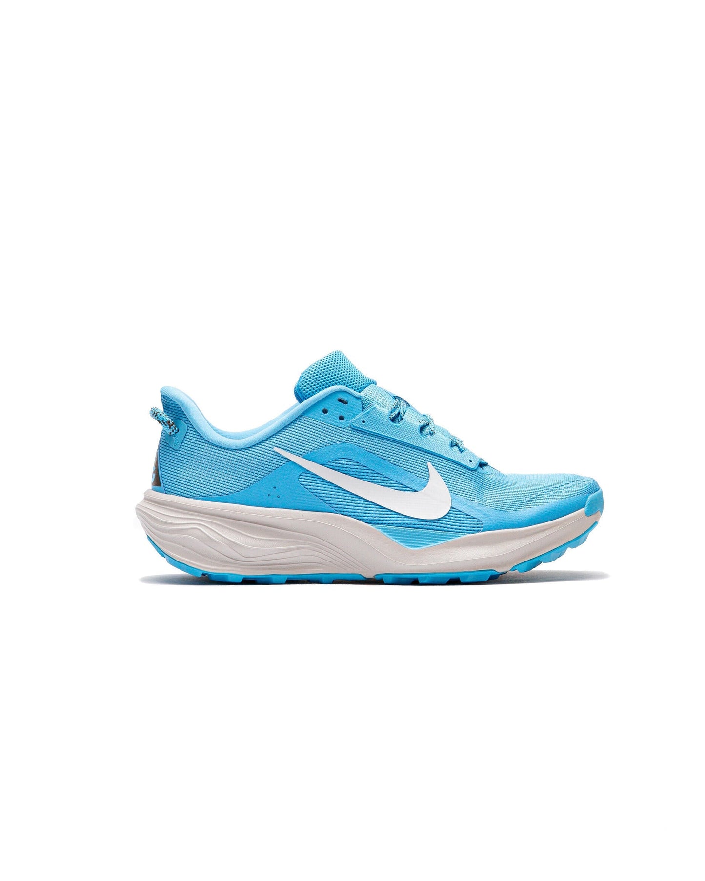 Nike ACG Pegasus