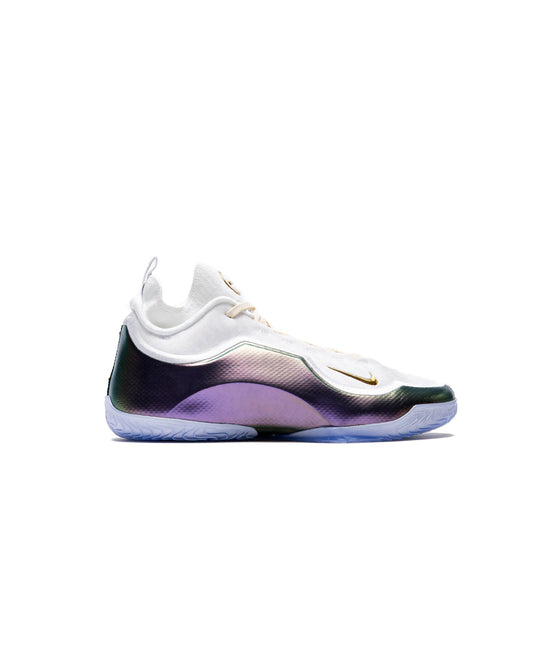 Nike LEBRON XXIII ELITE 'For the Record'